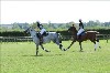 UKPA NC SAT_2241